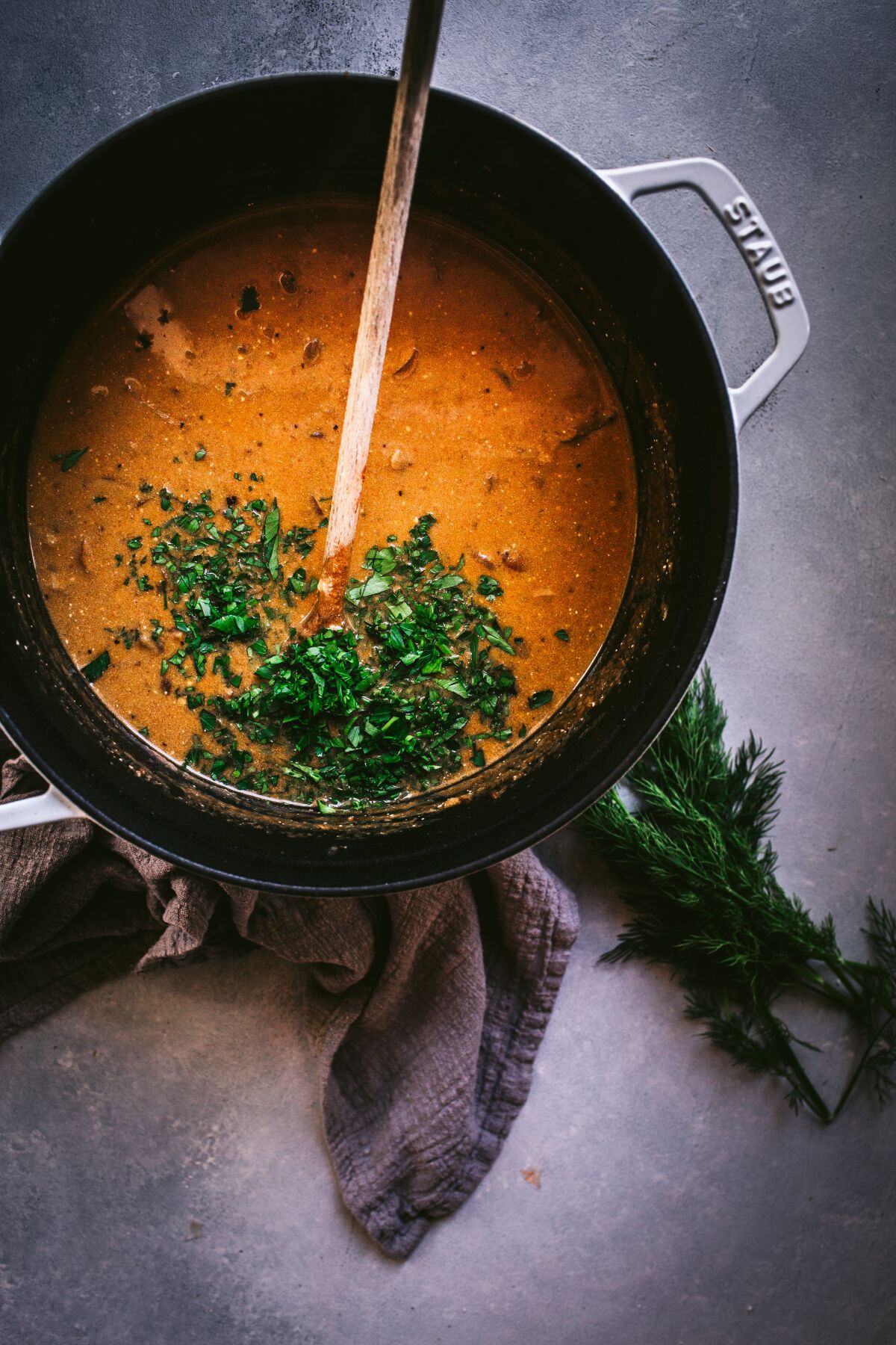 Hungarian Soup